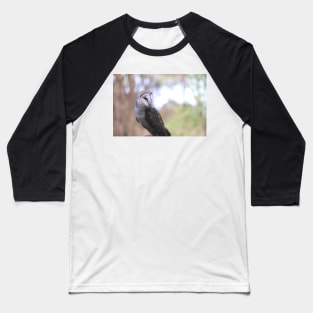 Barn Owl Baseball T-Shirt